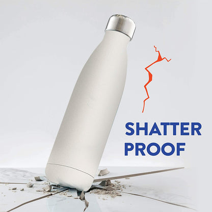 17oz Eco-Friendly Stainless Bottle