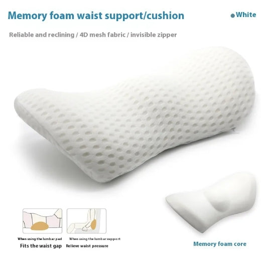 ErgoBack Foam Support Pillow