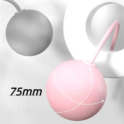 Cordless Speed Skipping Rope with Weighted Balls